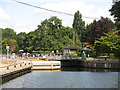 Shepperton Lock (3)