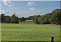 A rural scene in Singleton Park