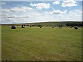 Silage field with bales, Laneshaw Bridge