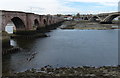 NT9952 : Bridges crossing the River Tweed by Mat Fascione
