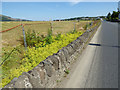 The A815 road at Sandbank