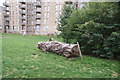 View of a log in front of flats in the Catford Green development from Ladywell Fields