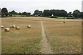 Path through a harvested field