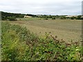 The Windrush valley below Whitehill Farm