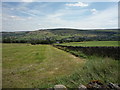 SD9644 : Grassland and stone wall near Cowling Hill Farm by JThomas