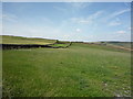 Grassland near Skythorn Farm