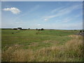 Field near Hainslack Farm