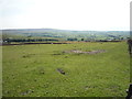 Grazing off  Skipton Old Road