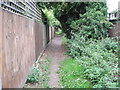 Path between the backs of houses in Alton