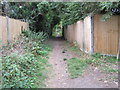 Path between the backs of houses in Alton