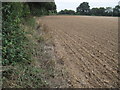 Footpath near Pancake Copse