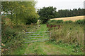 SO3390 : Farm track near Lydham by Bill Boaden