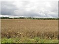 Arable land east of North Moor Farm