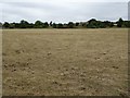 Field beside the River Windrush