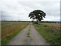 Track to North Moor Farm