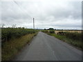 Lane towards Follingsby