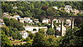 Calstock viaduct