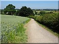 Path on Ambion Hill