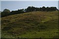 Hillside SW of Green End