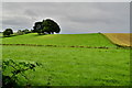 Bank Townland