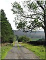 Road across the moor at Ilton