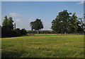 Field at Newsells Farm