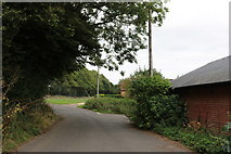 SU7923 : Access road by the A272, Rogate by David Howard