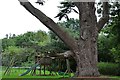 Copford Hall: Play area and just visible tennis court