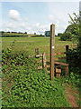 Cullompton: footpath to Ponsford Lane