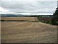 Stubble field, Eighton Banks