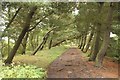 Path on former railway line, Blyth