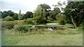 Pond, Church Farm, Leigh