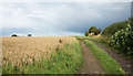 Farm track at edge of field