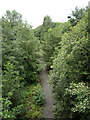 Path on disused railway, Washington