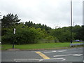 Woodland beside the A195