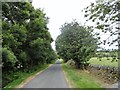 The road to Shotleyfield