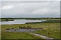 N0030 : River Shannon by N Chadwick