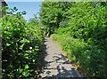 Footpath to Dorian Rise from Dalby road