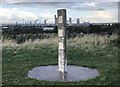 Sculpture, Maze Park Nature Reserve