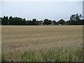 Houses at Balk Top, Dishforth Airfield