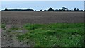 Bare field, south of Norton-le-Clay