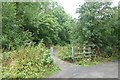 Path towards Millennium Ribble Link