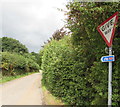 National Cycle Network route 423 direction sign in Coed-y-fedw, Monmouthshire