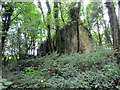 Adfelion hen Ffarm Trehyrne / The ruined old Trehyrne Farm