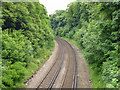 Railway east of London Road (Guildford) station