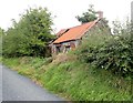 Abandoned cabin on the Lough Road