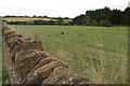 Field by The Old Farm