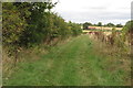 Bridleway towards Hinton