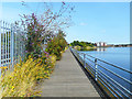 Boardwalk by the Shore