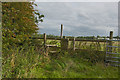 A stile on the Wyre Way